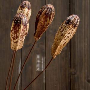 欧式落地家居花艺  进口干花装饰花真花植物插杆 杨核桃玛蒂菱