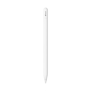 Apple/苹果 Apple Pencil (USB-C) iPad10/Pro原装手写笔2023新款