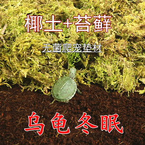 爬宠垫材苔藓保湿乌龟冬眠青苔过冬用品椰土砖草龟巴西龟过冬小窝