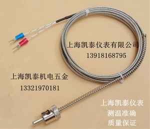 铠装热电偶 铂热电阻 非标订货专用 上海凯泰仪表