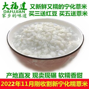 22年新收割福建宁化糯薏米薏苡仁薏米500g包邮赛金沙小薏米仁红豆