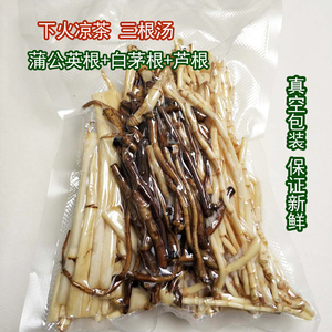 新鲜三根汤野生白茅根蒲公英根芦根 下火凉茶食材 500克包邮