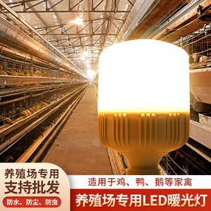 暖光灯泡养殖场专用照明led灯e27螺纹螺口黄光养鸡场补光节能灯