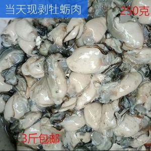 现剥 牡蛎肉 新鲜生蚝肉现捕鲜活去壳海蛎子 连云港海产品250克
