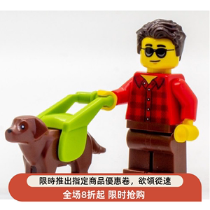 乐高积木 LEGO 2021 城市人仔杀肉盲侠可选配导盲犬狗 60292 独有