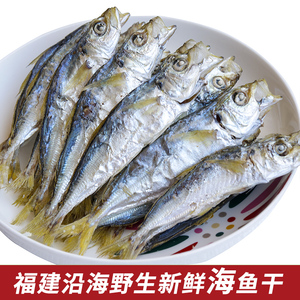 当季即食带头巴浪鱼干福建漳州东山岛特产海鲜淡干货小咸鱼干潮汕