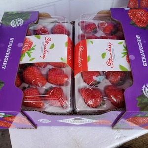新鲜水果辽宁丹东99甜草莓久久草莓红颜草莓 九九甜草莓礼盒装4盒