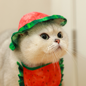 为宠当道遮阳帽宠物变装帽水果西瓜帽子围兜猫咪太阳帽夏天头套