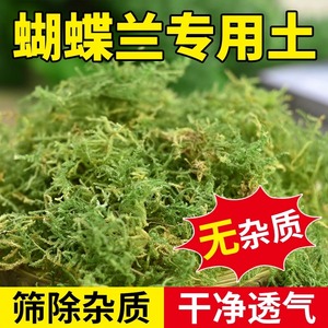 干苔藓水苔纯天然青苔兰花蝴蝶兰专用营养土爬宠乌龟垫材石斛种植