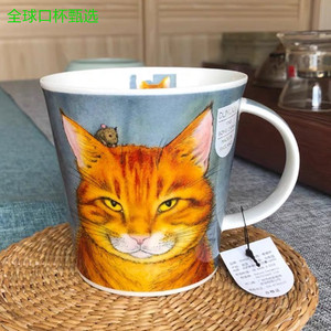 DUNOON英国进口骨瓷马克杯大容量咖啡杯可爱猫咪杯子茶水杯礼盒装