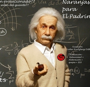 爱因斯坦 cos假发 老年发