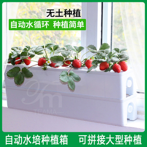阳台无土栽水培蔬菜草莓种植箱自动化种菜神器可拼接种植箱种植架