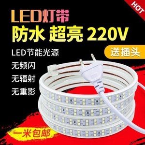 LED 成都220V蓝暖白120白米5730贴片LED灯带高压led防水灯带插头