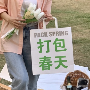 想把春天送给你/ins风打包春天礼物包装袋大容量手提纸袋礼品袋
