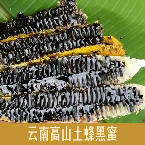 云南高山黑蜜 米团花蜜 野生土蜂蜜树洞成熟天然中药材米团花黑蜜