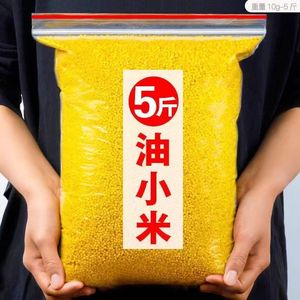 23年新米5斤山西黄小米油小米散装袋装农家黄小米小米粥