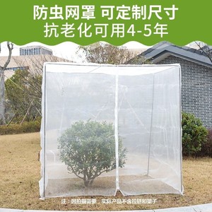 果树防虫网罩蔬菜大棚樱桃杨梅果树防虫防鸟网阳台庭院纱网防柳絮