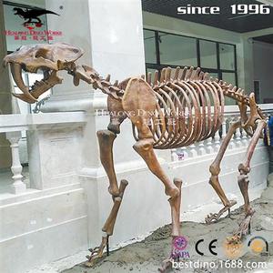 电动机械动物仿真模型科普剑齿虎玻璃钢化石骨架恐龙模型.