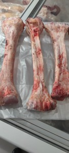 骆驼腿骨2根包邮 新鲜小腿骨 天然驼骨 骨髓可食用 泡酒工艺品
