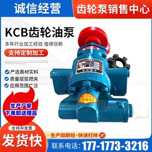 KCB齿轮泵齿轮油泵大流量齿轮式输油泵齿轮泵耐高温真空泵耐腐蚀