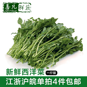 【喜凡鲜蔬】新鲜西洋菜500g 豆瓣菜 凉菜 时鲜蔬菜4件包邮