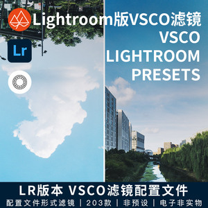 LR版本lightroom的vsco 滤镜206款 非LR预设LR配置文件手机LR可用