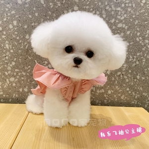宠物狗狗衣服夏季薄款韩版可爱公主风裙子猫咪小型犬比熊泰迪博美