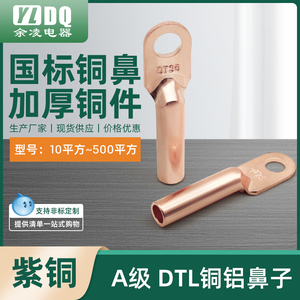 DT铜鼻子国标A级10-500平方 紫铜闭口接线端子铜线耳电缆接头压接