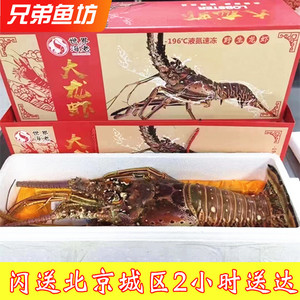 北京闪送古巴龙虾冷冻大龙虾活冻水产海鲜礼盒海鲜大礼包年夜饭