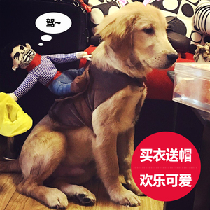 狗狗衣服哈士奇搞笑金毛幼犬巨贵边牧大型犬宠物拉布拉多搞怪春秋