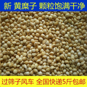 拨黍子外壳叫什么,谷子的外壳叫什么,稻谷剥壳后空壳叫什么_大山谷图库