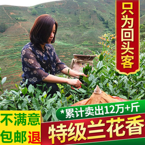 正宗安溪铁观音春茶浓香型乌龙茶新茶秋茶叶清香型绿茶散装500g