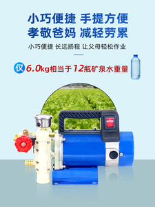 手提式打药机农用电动果树喷雾器12V48V60V高压双缸柱塞泵水泵