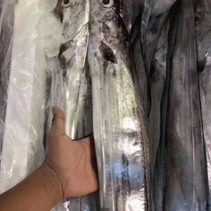 东山岛海鲜带鱼新鲜大带鱼冷冻野生刀鱼速冻黑目带鱼1.5斤/条包邮