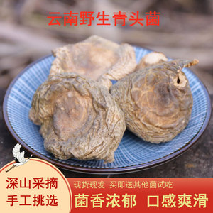 新货菇类土特产农产品云南野生菌青头菌菇干货100克煲汤家用散装