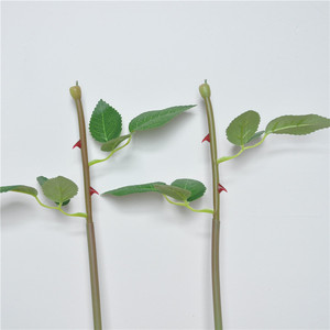 花梗花茎,花茎花梗,花茎花枝_大山谷图库