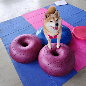 中小型犬甜甜圈瑜伽球老年犬关节肌肉康复训练平衡健身球训练器材