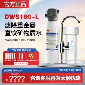 美国3M净水器家用直饮DWS160-L高端大流量商用餐厅食堂自来水过滤