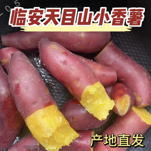临安天目山小香薯新鲜沙地板栗红薯番薯农家地瓜蜜薯代餐宝宝辅食