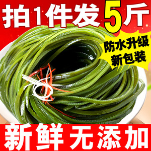 净重5斤荣成海带厚盐渍海带丝非特级半干货凉拌菜商用新鲜海带丝