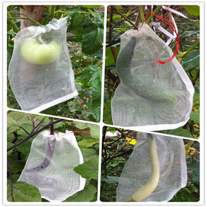 种子育种葡萄袋过滤袋滤网袋 袋 包装袋 隔离袋 果蔬种植网兜套种