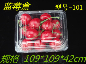 一次性吸塑包装水果蓝莓盒小号果蔬生鲜菠萝切果盒125克 2两装