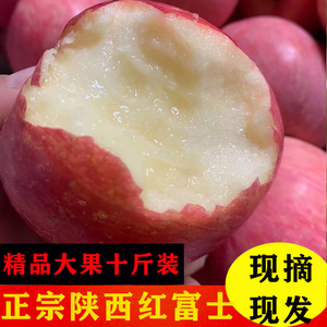 陕西洛川红富士苹果脆甜应季新鲜水果十斤带箱包邮现摘新鲜苹果
