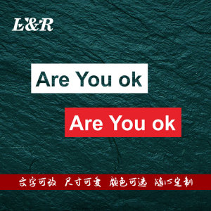 ARE YOU OK 幽默搞笑雷布斯名言 反光防水创意个性电动摩托车贴花