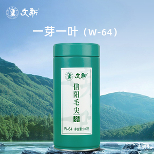 春茶上市文新信阳毛尖绿茶2024新茶茶叶明前特级一芽一叶散装100g