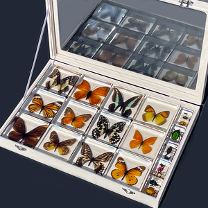 蝴蝶标本真蝴蝶树脂标本动物标本礼盒装创意收藏生日礼物琥珀摆件