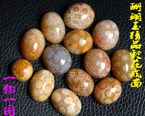 天然珊瑚玉髓古生物化石原石菊花女士玉坠925银戒面戒指配饰品