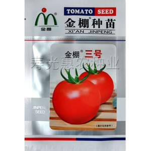 番茄种孑西红柿种孑蔬菜种籽秋季早熟金棚三号农家菜籽蔬菜种子