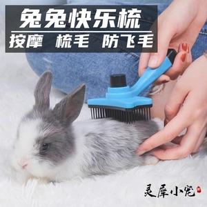 宠物除毛刷兔子梳毛按摩美容用品荷兰猪梳子清理浮毛预防毛球症