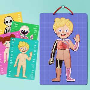 人体奥秘磁性拼图儿童身体器官肌肉骨骼认知早教磁贴木制玩具挂板